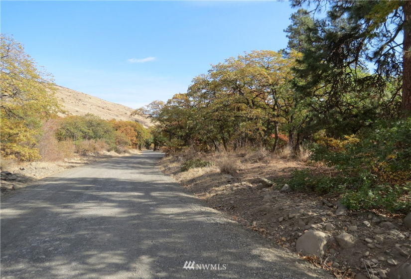 0 Cowiche Mill, Cowiche, Washington 98923, ,Land,For Sale,Cowiche Mill,NWM1854093