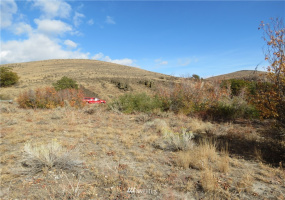 0 Cowiche Mill, Cowiche, Washington 98923, ,Land,For Sale,Cowiche Mill,NWM1854093