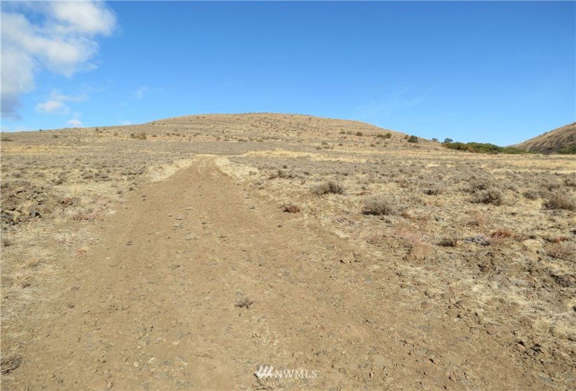 0 Cowiche Mill, Cowiche, Washington 98923, ,Land,For Sale,Cowiche Mill,NWM1854093