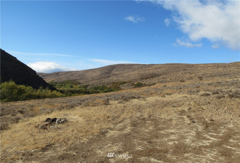 0 Cowiche Mill, Cowiche, Washington 98923, ,Land,For Sale,Cowiche Mill,NWM1854093