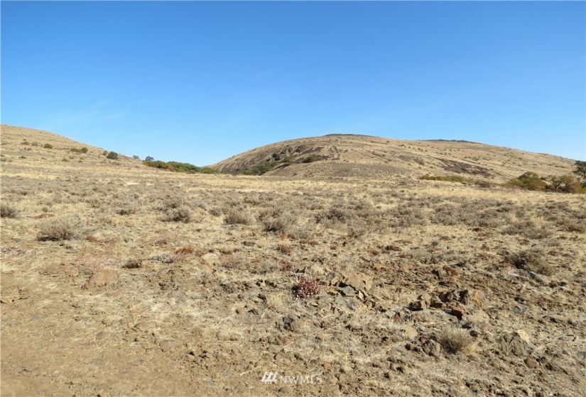 0 Cowiche Mill, Cowiche, Washington 98923, ,Land,For Sale,Cowiche Mill,NWM1854093