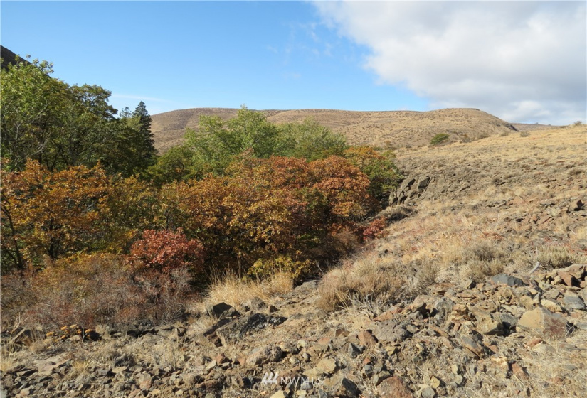 0 Cowiche Mill, Cowiche, Washington 98923, ,Land,For Sale,Cowiche Mill,NWM1854093