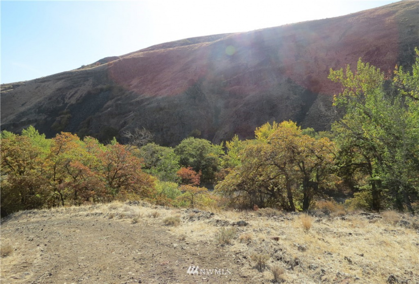 0 Cowiche Mill, Cowiche, Washington 98923, ,Land,For Sale,Cowiche Mill,NWM1854093