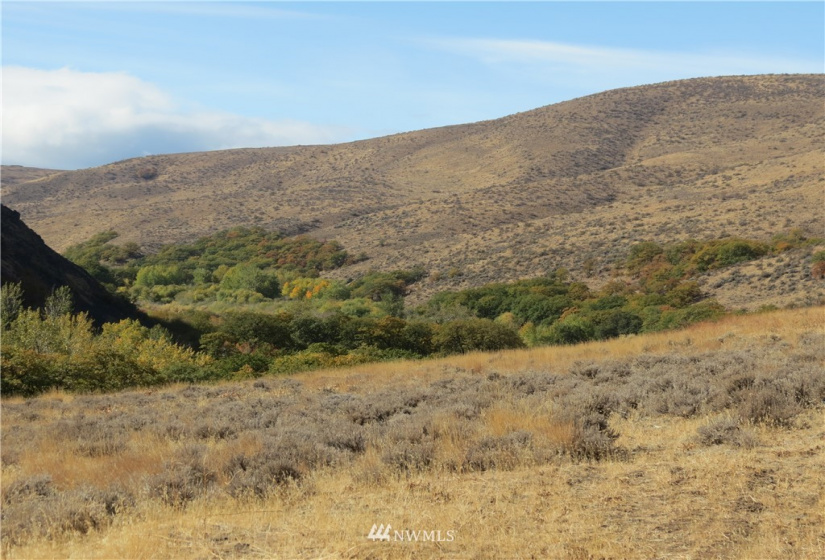 0 Cowiche Mill, Cowiche, Washington 98923, ,Land,For Sale,Cowiche Mill,NWM1854093