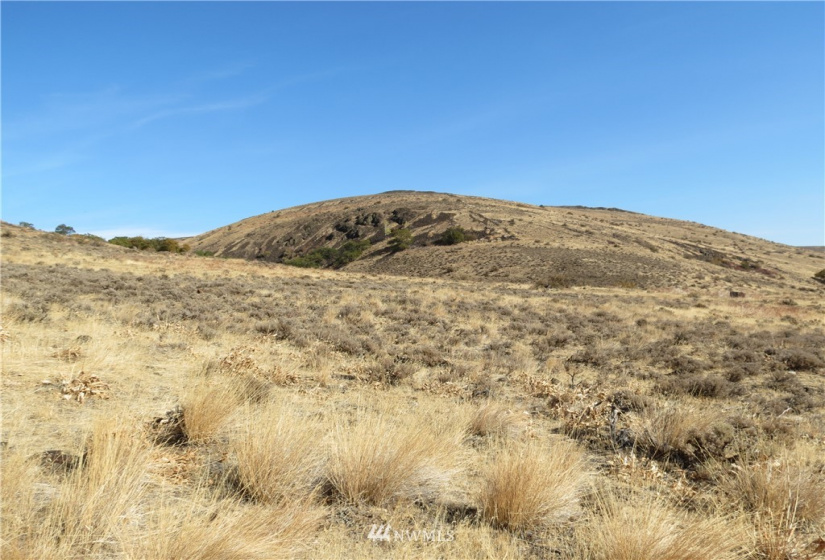 0 Cowiche Mill, Cowiche, Washington 98923, ,Land,For Sale,Cowiche Mill,NWM1854093