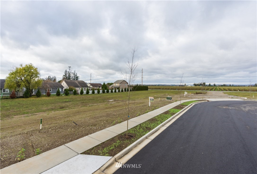 2225 DeJong, Lynden, Washington 98264, ,Land,For Sale,DeJong Long Plat,DeJong,NWM1854888