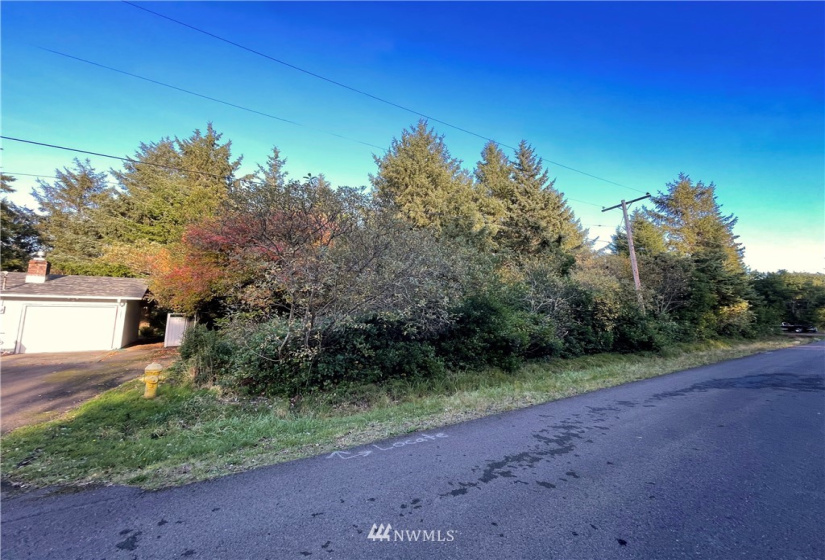 376 Sextans, Ocean Shores, Washington 98569, ,Land,For Sale,4,Sextans,NWM1854936