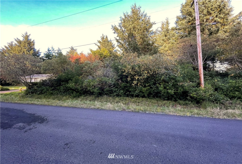 376 Sextans, Ocean Shores, Washington 98569, ,Land,For Sale,4,Sextans,NWM1854936