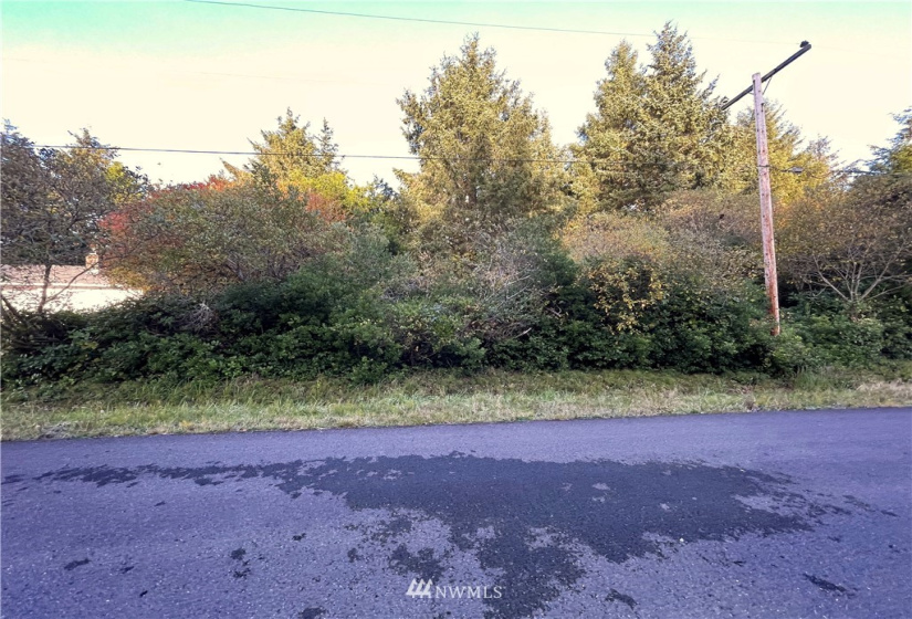 376 Sextans, Ocean Shores, Washington 98569, ,Land,For Sale,4,Sextans,NWM1854936