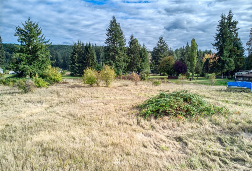 0 Satsop Riviera, Elma, Washington 98541, ,Land,For Sale,Satsop Riviera,NWM1851477