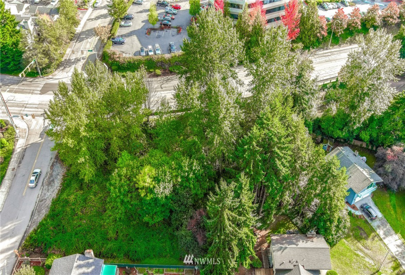 9656 Carr, Renton, Washington 98055, ,Land,For Sale,Carr,NWM1853592