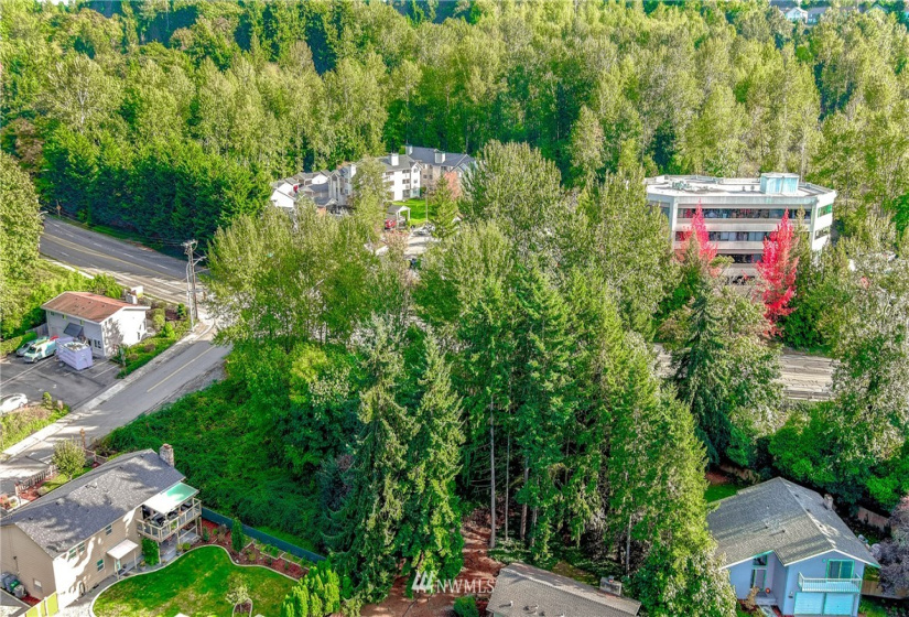 9656 Carr, Renton, Washington 98055, ,Land,For Sale,Carr,NWM1853592