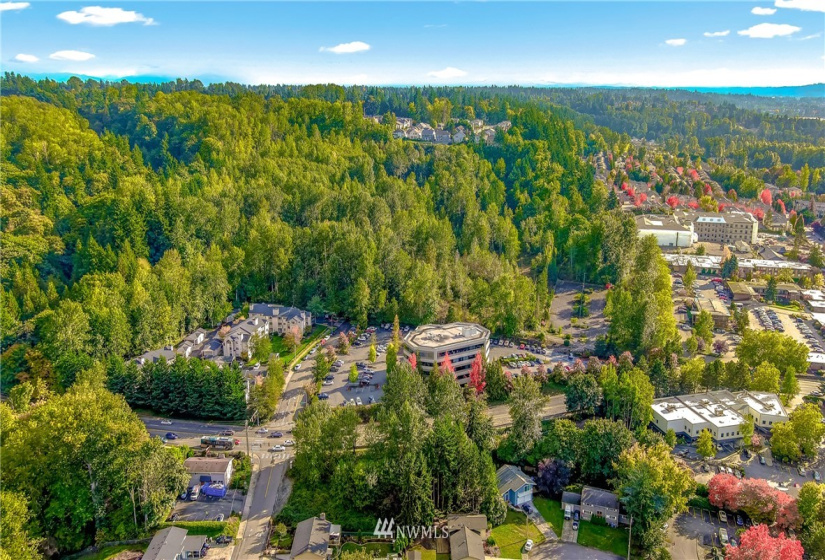 9656 Carr, Renton, Washington 98055, ,Land,For Sale,Carr,NWM1853592