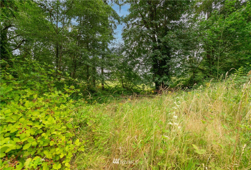 2617 9th, Puyallup, Washington 98373, ,Land,For Sale,9th,NWM1855320