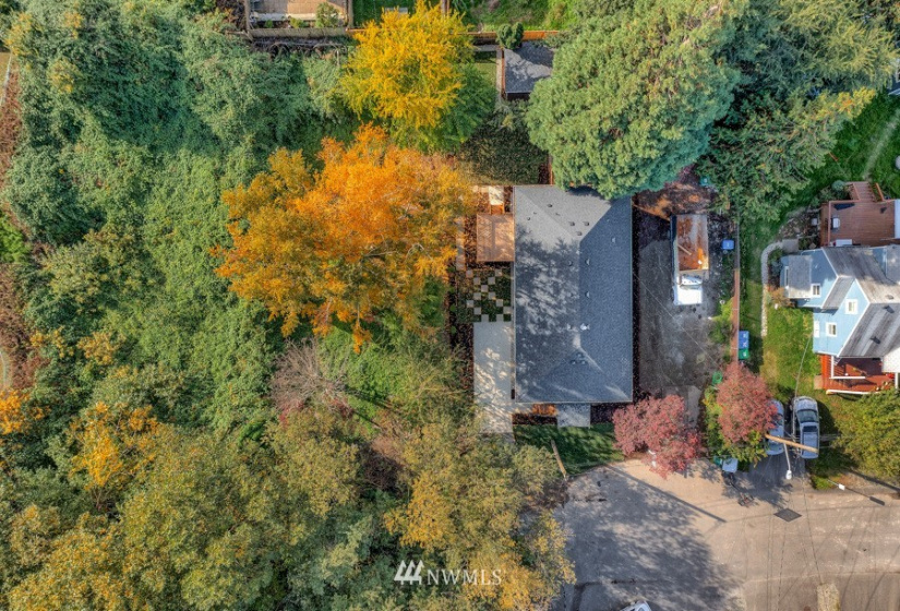 8813 3rd, Seattle, Washington 98108, ,Land,For Sale,ABERFELDY ESTATE ADD,3rd,NWM1853709