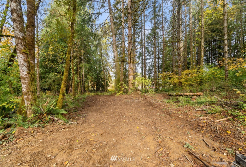 117 Fay, Adna, Washington 98532, ,Land,For Sale,Fay,NWM1855400