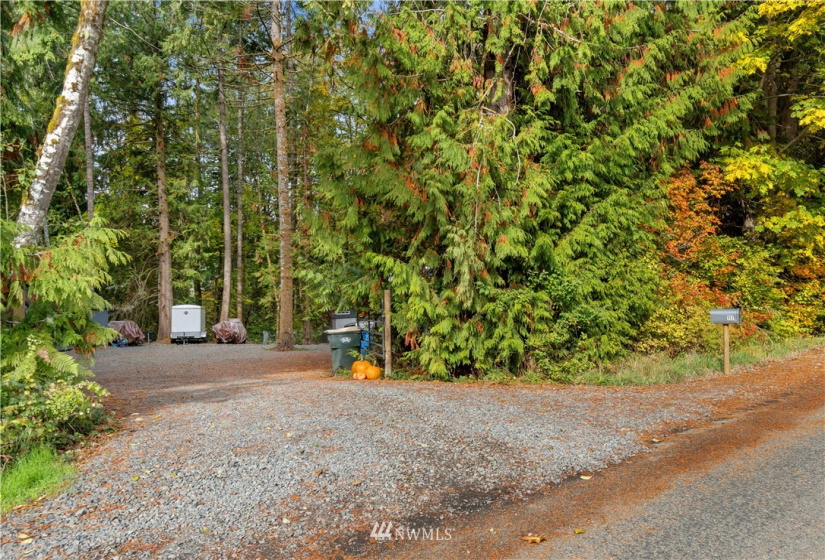 117 Fay, Adna, Washington 98532, ,Land,For Sale,Fay,NWM1855400
