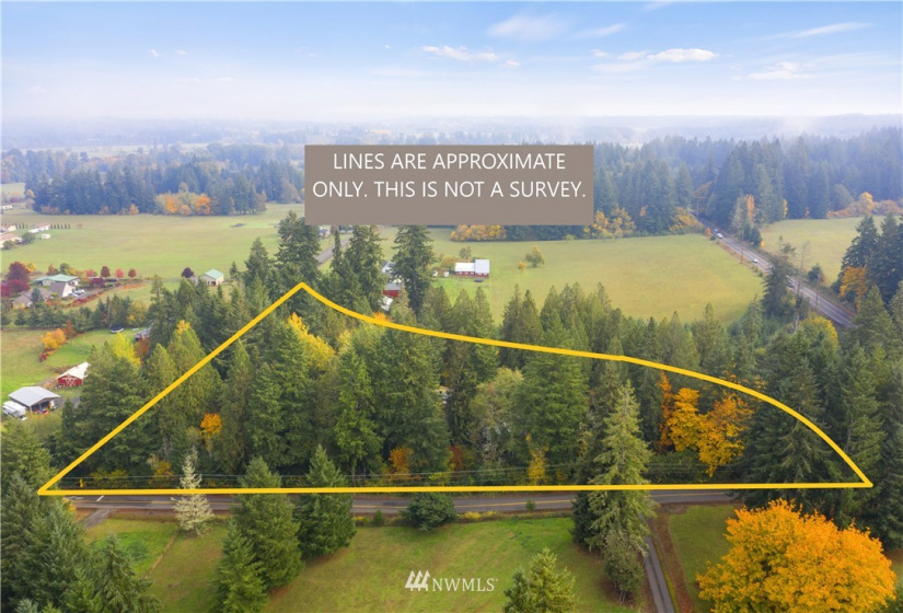 117 Fay, Adna, Washington 98532, ,Land,For Sale,Fay,NWM1855400