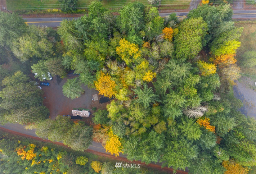 117 Fay, Adna, Washington 98532, ,Land,For Sale,Fay,NWM1855400