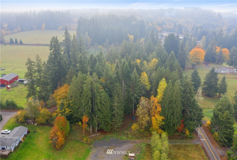 117 Fay, Adna, Washington 98532, ,Land,For Sale,Fay,NWM1855400