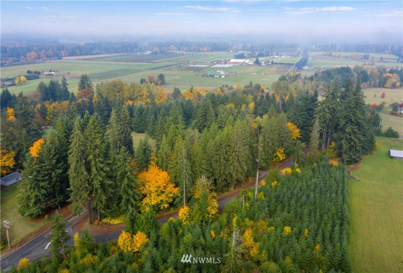 117 Fay, Adna, Washington 98532, ,Land,For Sale,Fay,NWM1855400