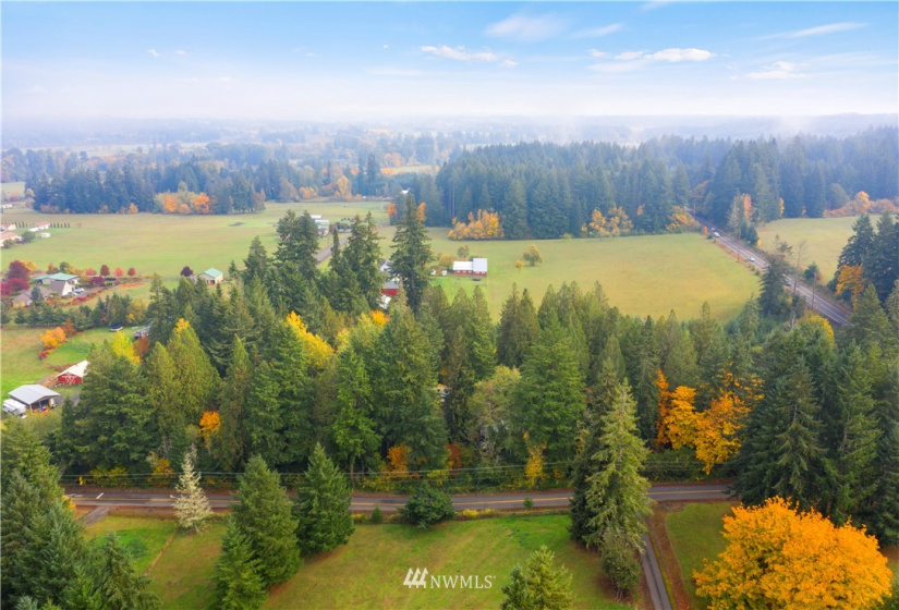 117 Fay, Adna, Washington 98532, ,Land,For Sale,Fay,NWM1855400