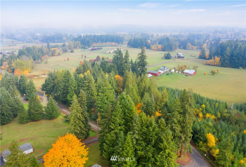 117 Fay, Adna, Washington 98532, ,Land,For Sale,Fay,NWM1855400