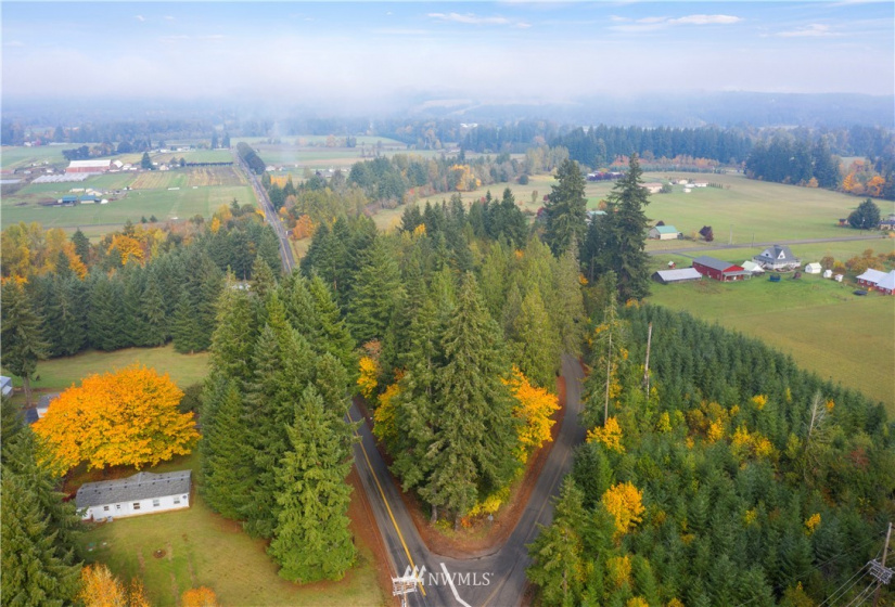 117 Fay, Adna, Washington 98532, ,Land,For Sale,Fay,NWM1855400