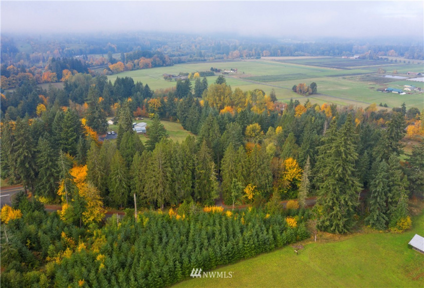 117 Fay, Adna, Washington 98532, ,Land,For Sale,Fay,NWM1855400