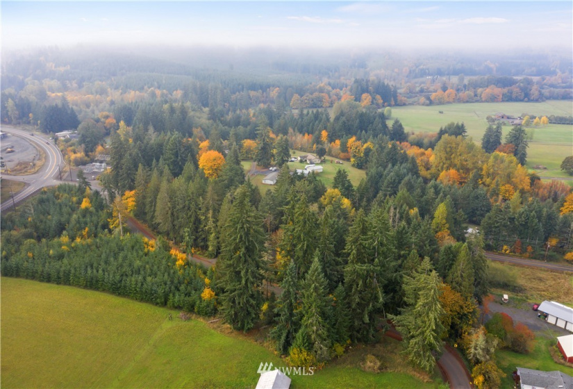 117 Fay, Adna, Washington 98532, ,Land,For Sale,Fay,NWM1855400