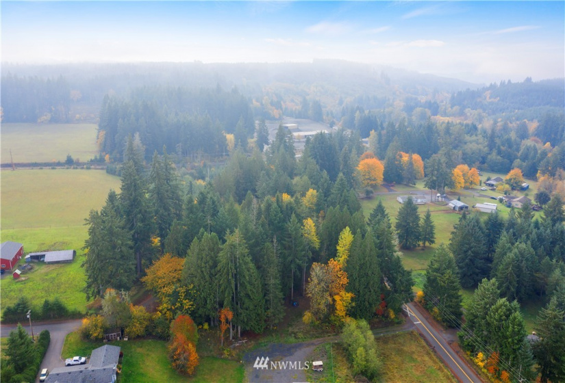 117 Fay, Adna, Washington 98532, ,Land,For Sale,Fay,NWM1855400