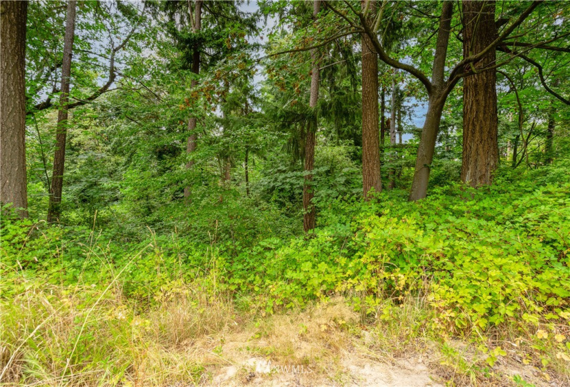 2617 9th, Puyallup, Washington 98373, ,Commercial Sale,For Sale,9th,NWM1856052