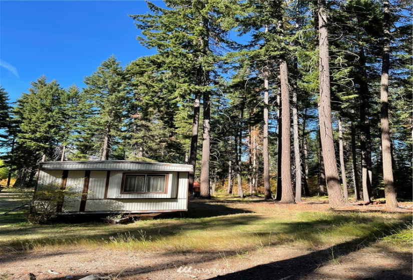 730 Tall Pines, Cle Elum, Washington 98922, ,Land,For Sale,Tall Pines,NWM1856074