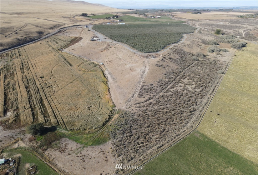0 NKA Hatton RD 1529032470002, Othello, Washington 99344, ,Farm,For Sale,Jarman Short Plat,NKA Hatton RD 1529032470002,NWM1856089