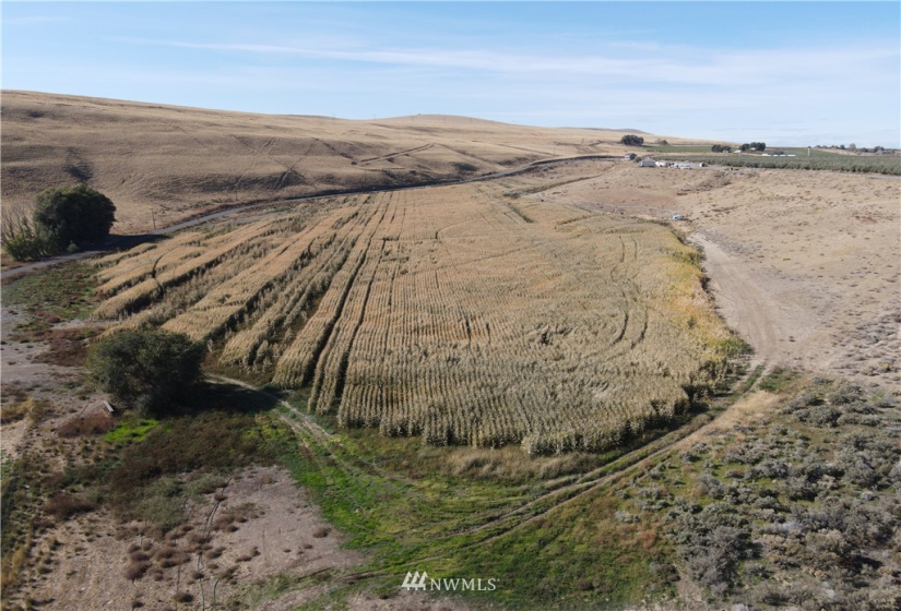 0 NKA Hatton RD 1529032470002, Othello, Washington 99344, ,Farm,For Sale,Jarman Short Plat,NKA Hatton RD 1529032470002,NWM1856089