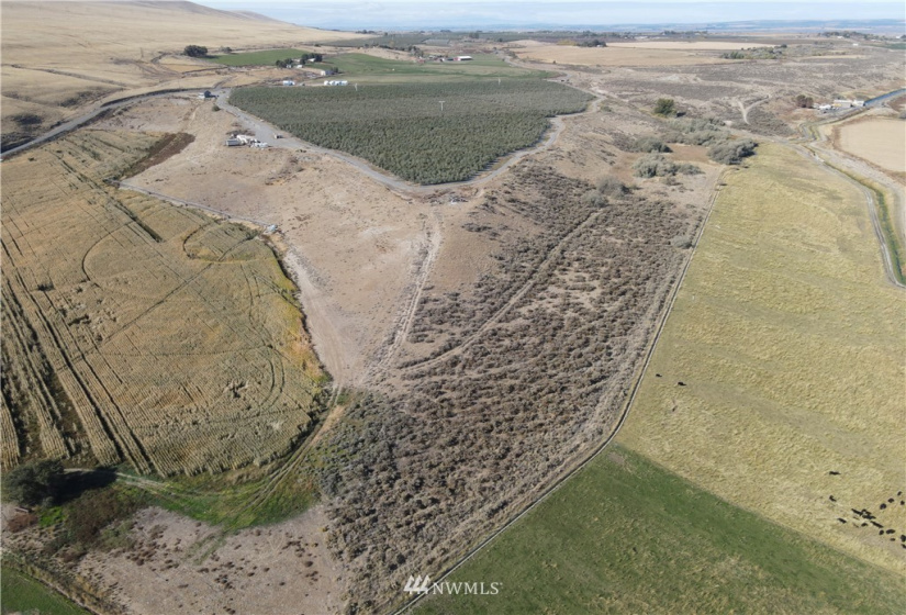 0 NKA Hatton RD 1529032470002, Othello, Washington 99344, ,Farm,For Sale,Jarman Short Plat,NKA Hatton RD 1529032470002,NWM1856089