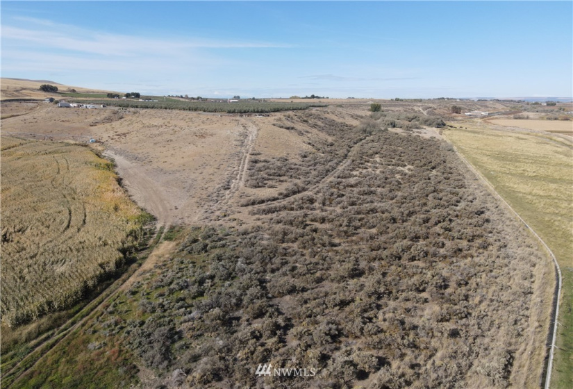 0 NKA Hatton RD 1529032470002, Othello, Washington 99344, ,Farm,For Sale,Jarman Short Plat,NKA Hatton RD 1529032470002,NWM1856089