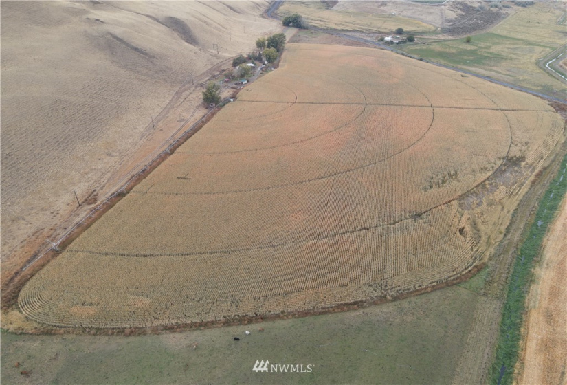 0 NKA Hatton RD 1529032470002, Othello, Washington 99344, ,Farm,For Sale,Jarman Short Plat,NKA Hatton RD 1529032470002,NWM1856089