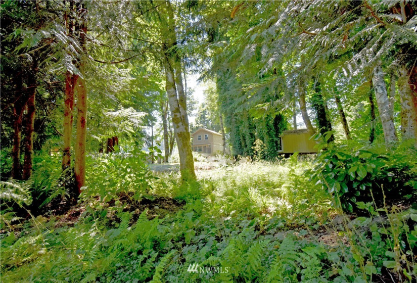 41610 Cape Horn, Concrete, Washington 98237, 1 Bedroom Bedrooms, ,Residential,For Sale,Cape Horn on the Skagit,Cape Horn,NWM1856072
