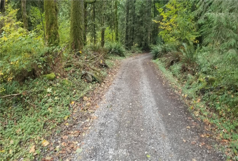 272 xx 150th, Issaquah, Washington 98027, ,Land,For Sale,Tiger Mountain Tracts,150th,NWM1855755