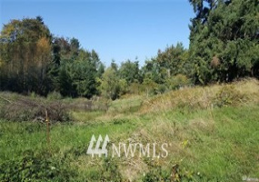 0 Diamond, Milton, Washington 98354, ,Land,For Sale,Milton,Diamond,NWM1856293