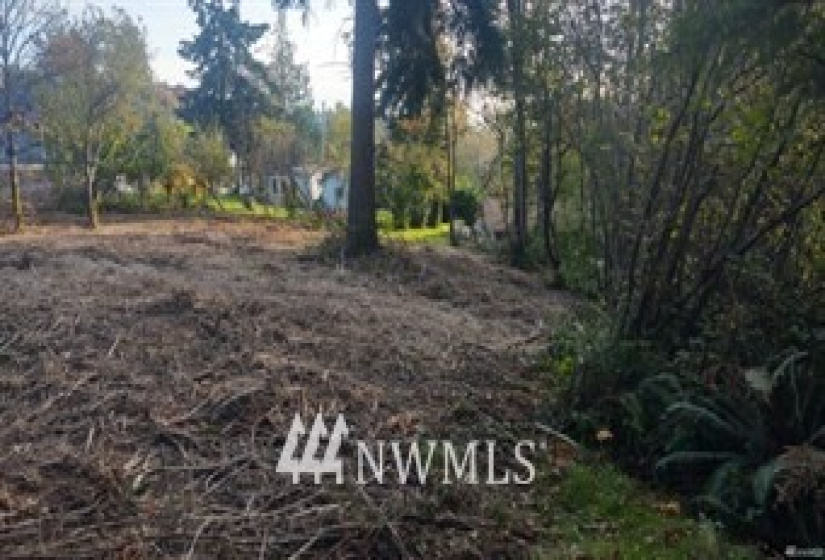 0 Diamond, Milton, Washington 98354, ,Land,For Sale,Milton,Diamond,NWM1856293
