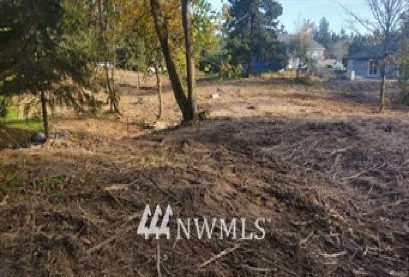 0 Diamond, Milton, Washington 98354, ,Land,For Sale,Milton,Diamond,NWM1856293