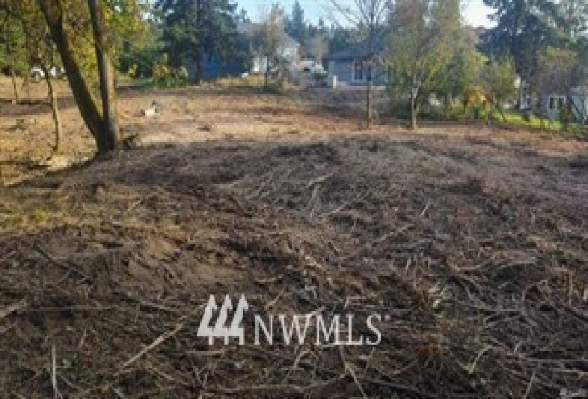 0 Diamond, Milton, Washington 98354, ,Land,For Sale,Milton,Diamond,NWM1856293