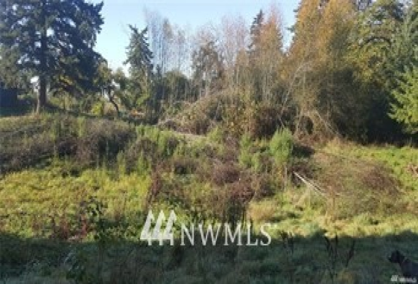 405 10th, Milton, Washington 98354, ,Land,For Sale,Milton,10th,NWM1856277