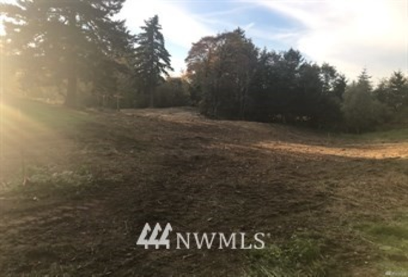 405 10th, Milton, Washington 98354, ,Land,For Sale,Milton,10th,NWM1856277