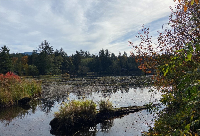 0 Key Place, Sedro Woolley, Washington 98284, ,Land,For Sale,Key Place,NWM1855437