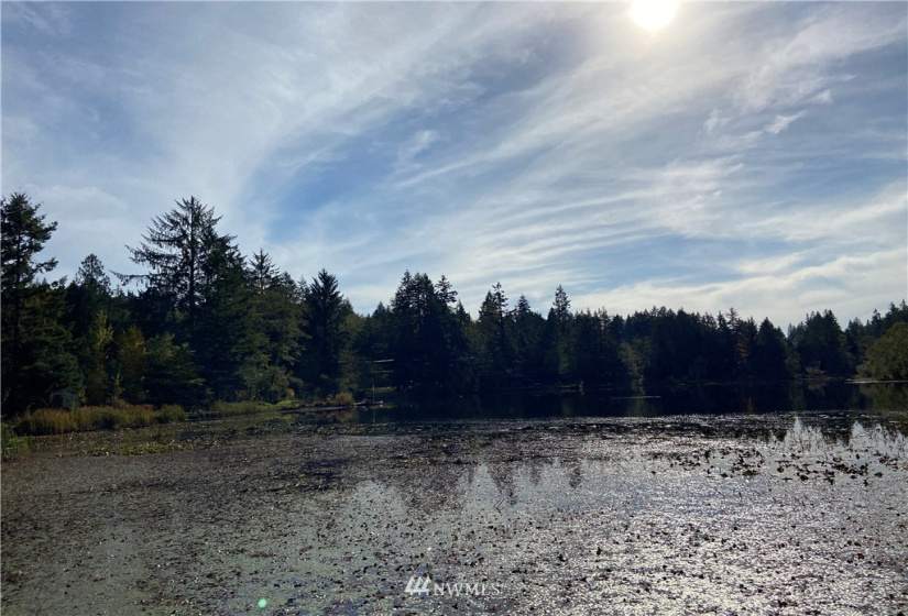 0 Key Place, Sedro Woolley, Washington 98284, ,Land,For Sale,Key Place,NWM1855437