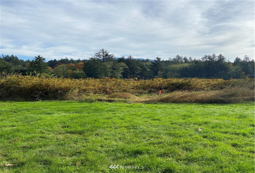 0 Key Place, Sedro Woolley, Washington 98284, ,Land,For Sale,Key Place,NWM1855437