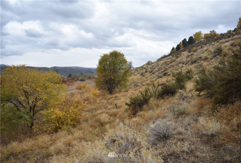 0 tbd Omak River, Omak, Washington 98841, ,Land,For Sale,tbd Omak River,NWM1856389